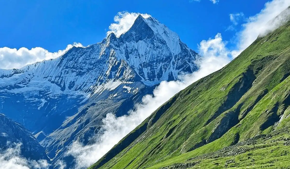 Born in the Himalayas